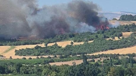 Çanakkale’de orman yangını