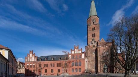 Auszeichnung: "GrundGesetzVerstehen" erhält Brandenburger Freiheitspreis