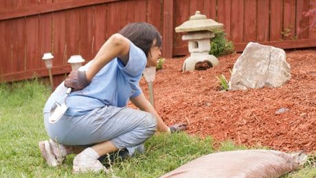 Ratten sind es nicht: Bei diesem Tier im Garten müssen Sie sofort handeln