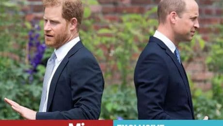 Harry and William 'arguing over royal plan' - yet one move could fix everything