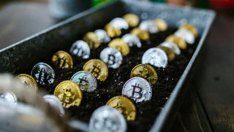 États-Unis, Pologne, Corée du Sud et bientôt France? Comment les cryptomonnaies sont devenues un enjeu électoral mondial