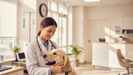 Une approche éthique et accessible de la santé animale