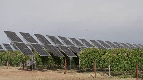 Iberdrola lanza un parque agrovoltaico de manzanos en Álava
