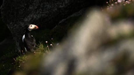 From the Peak District to St Austell Bay – how beloved beauty spots are in decline