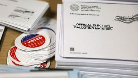 California woman facing felony charges for registering her dog to vote, casting 2 ballots