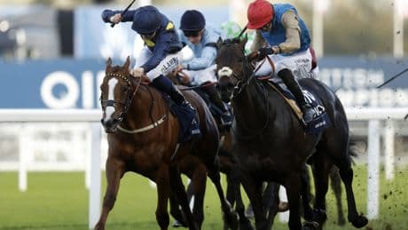 Saturday racing tips: Best bets and odds for Newbury, Market Rasen and Ripon