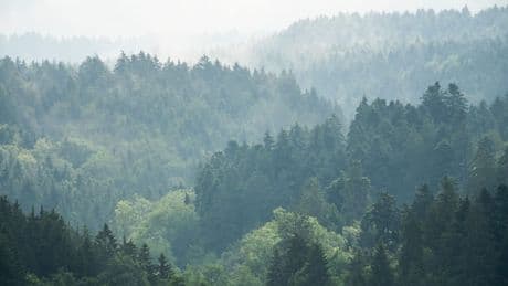 Tschüss Grau: Sonnigeres Wetter zur Wochenmitte