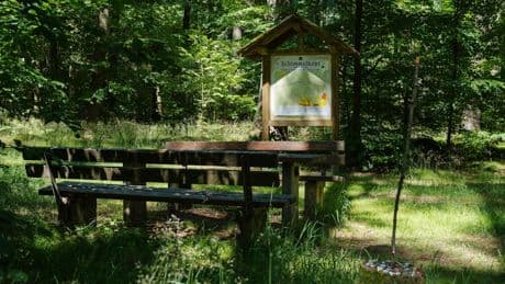 Es geht um 60 Zentimeter - Skurriler „Wer hat den Höchsten?“-Kampf im Saarland