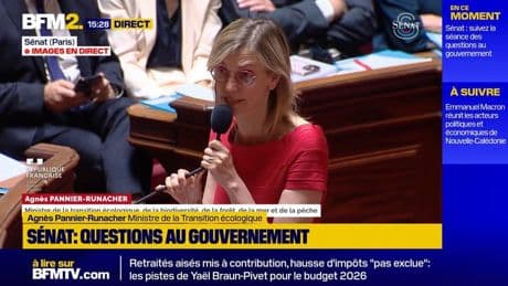 Canicule: Des personnes "mortes de l'action climaticide" du gouvernement" estime Mélanie Vogel