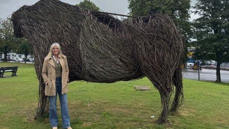 Businesses urged to help restore iconic Castle Douglas landmark Kelton the Beltie