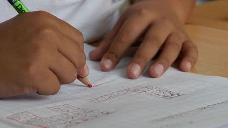 ¿&quot;Aprender&quot; o &quot;aprehender&quot;? Esta es la diferencia que marca la RAE