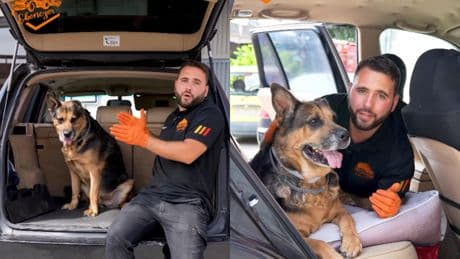 Juan José Ebenezer, mecánico: “Viajar con tu mascota en el maletero no es seguro: un golpe trasero puede aplastarla como un sándwich”
