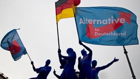 El servicio secreto alemán abre la puerta a ilegalizar el partido de ultraderecha AFD:  "Es contrario a la Constitución"