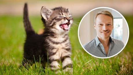 Mein Leben als Mann - Wie stellt man eine Katze auf „Lautlos“?