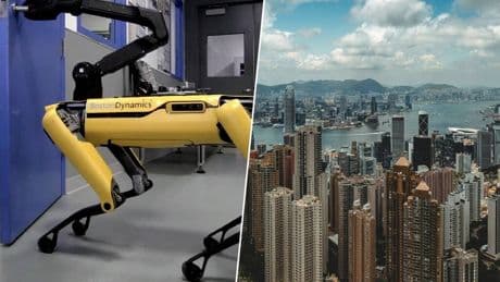 Hong Kong afronta una enorme crisis de salud pública por el virus chikungunya. Su solución: un ejército de perros robot