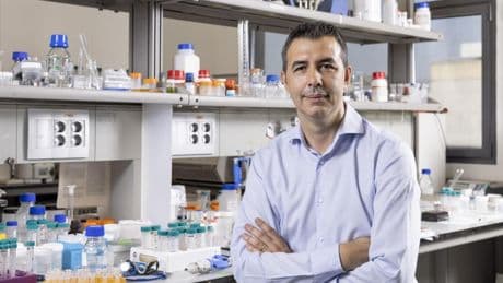 Clip-off: la nueva técnica para crear moléculas complejas inventada por científicos catalanes