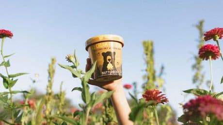 Honey-Sweetened ‘Ice Cream For Bears’ Is The Poster Child For Clean Ingredients