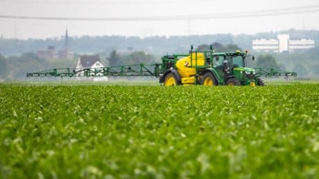 Acétamipride : quelle législation en Europe pour ce pesticide interdit en France ?