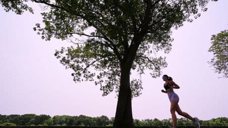 PHOTO COLLECTION: Canada Wildfires Smoky Skies