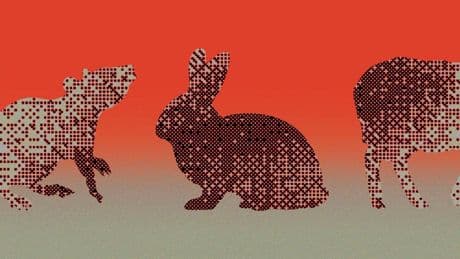 How AI And Mini-Organs Could Replace Testing Drugs On Animals