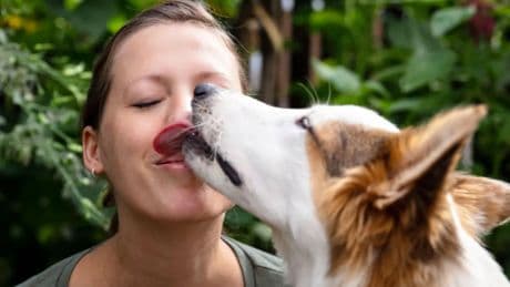 Urgent warning to dog owners who let their pets lick them after woman catches horror parasite