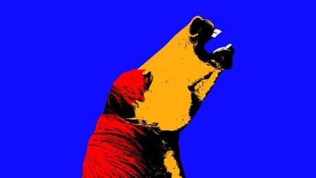 Demokratie: Runter vom Ponyhof