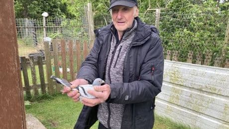 West Lothian pigeon racer fumes as he's told 'you have 28 days to leave site' by council