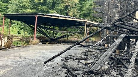 Brandstiftung nicht ausgeschlossen: Großfeuer zerstört historisches Wasserkarussell in Solinger Märchenwald