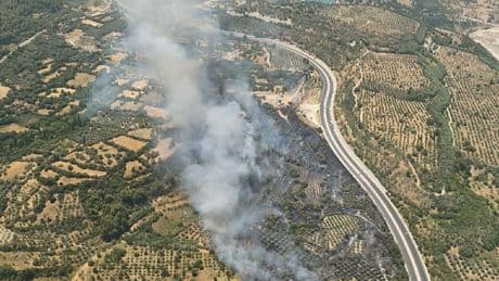 Muğla'da Stratonikeia Antik Kenti yakınındaki yangında 5 hektar alan zarar gördü