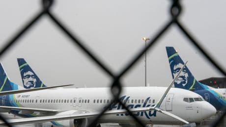 Alaska Airlines Grounds Entire Fleet of Planes