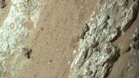 Is there life on Mars? Nasa rover uncovers strongest hint yet
