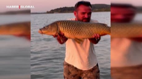13 kilo sazan yakaladı, öpüp suya geri saldı