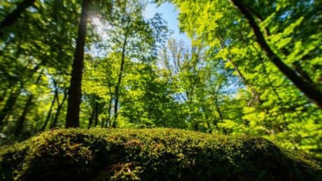 Tag des Wanderns: Von wegen langweilig: Ideen gegen den Wander-Frust