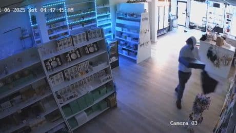 ‘Normalized’: B.C. business owners claim street disorder, crime remain high