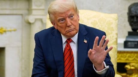 IMF slashes global growth forecast in latest fall-out from Donald Trump trade war