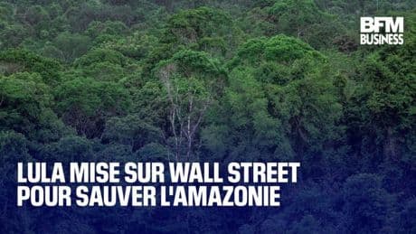 Lula mise sur Wall Street pour sauver l'Amazonie