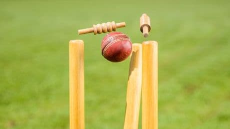 Why in cricket is it called a duck?