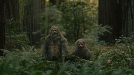 « Primitifs » de David et Nathan Zellner : affreux, sales et sauvages ou la saga des humanoïdes sylvestres