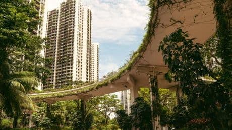 Forest City, cette ville fantôme de Malaisie qui se rêve en paradis fiscal