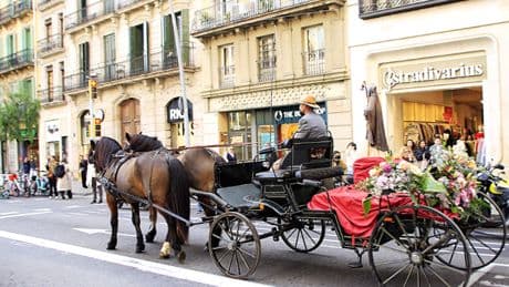 Muere un caballo durante la Trobada Nacional dels Tres Tombs en Barcelona
