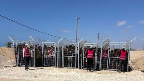 US contractors say their colleagues are firing live ammo as Palestinians seek food in Gaza