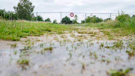 Reptil gesichtet: Alligator-Suche in Vechta geht weiter
