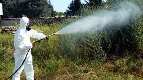West Nile, come difendersi: dal controllo dell'acqua stagnante ai vestiti da indossare, tutti i consigli