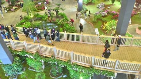 Alberi e fiori di Euroflora? Non si butta via nulla. “Mille piante recuperate per la città”