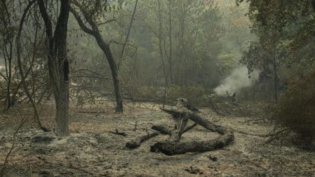 Los efectos de las tormentas tras los megaincendios: "Hacen que el suelo sea mucho más sensible a los procesos de erosión"