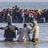 Huge boat of 60 migrants launch from French beach towards the UK - because police were in the wrong place