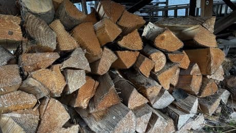 Check: Ist Ihr altes Brennholz noch gut für die kommende Kaminsaison?