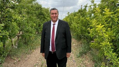CHP'li Gürer: 'Zeytinliklerin yerini kömür madenleri alacaksa, hem bugünümüzü hem de geleceğimizi kaybediyoruz demektir'
