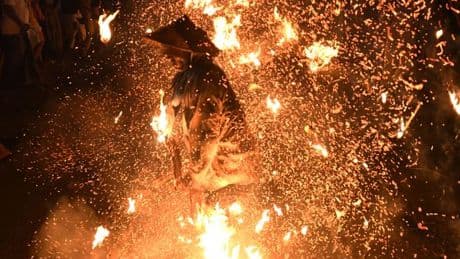 En Indonésie, on cherche les secrets de la mort au fond des noix de coco