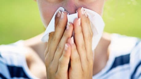 Das Wetter ist schuld - Rekord-Krankmeldungen wegen Heuschnupfen